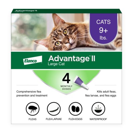 Advantage II Vet-Recommended Flea Prevention for Large Cats 9 lbs+  4-Monthly Treatments