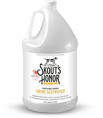 Urine Destroyer for Dogs, 128 Fl. Oz.