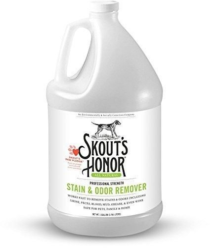 Stain &amp; Odor Remover for Dogs, 128 Fl. Oz.