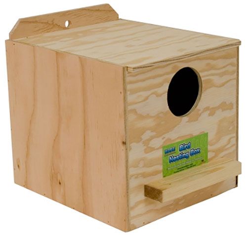 Cockatiel Nest Box