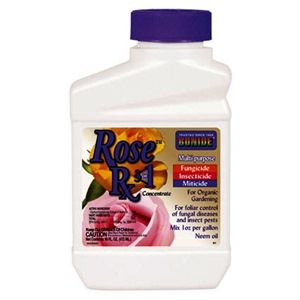 Bonide 16 oz. Rose RX 3-in-1 Concentrate