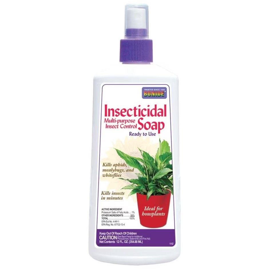 BONIDE MULTI-PURPOSE INSECTICIDAL SOAP Ready to use, Size: 12-oz