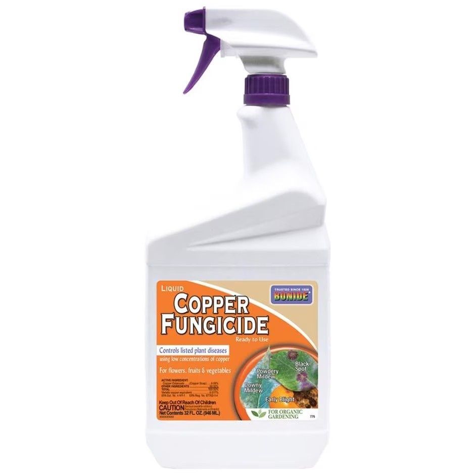 BONIDE LIQUID COPPER FUNGICIDE Ready to use