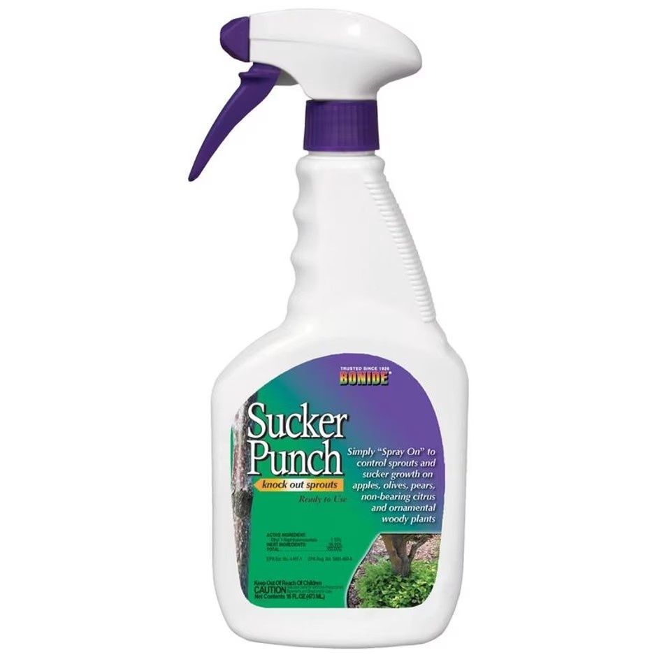 BONIDE SUCKER PUNCH Ready to use