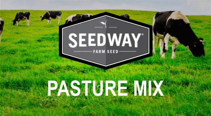 SEEDWAY® S550 Forage Mixture