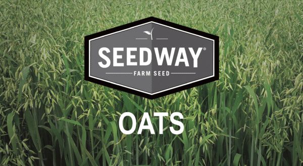 Juggernaut Winter Oats