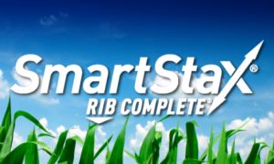 SW 0030 SS (Rib) R60 Seed Corn