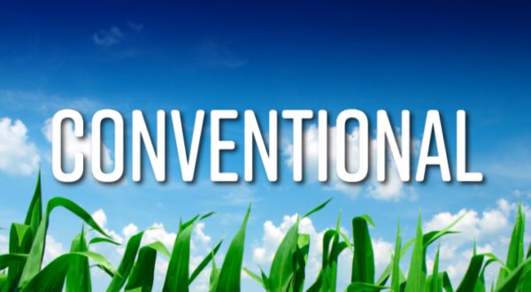 SW 0030 Conventional Seed Corn