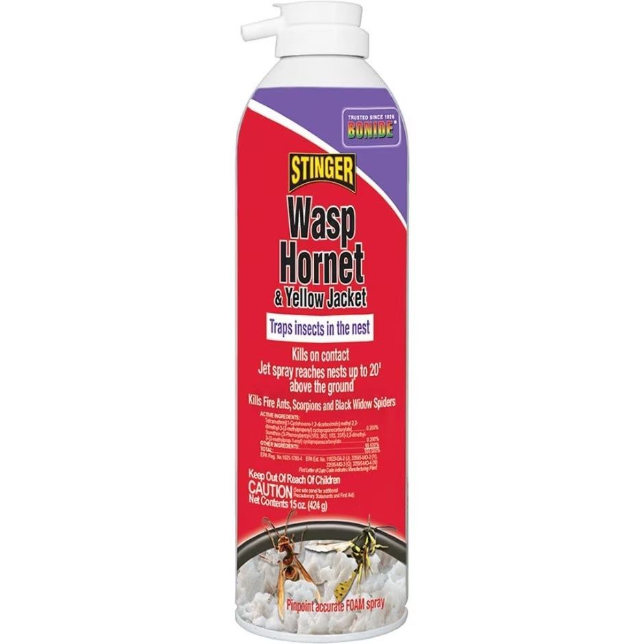 BONIDE WASP &amp; HORNET FOAM