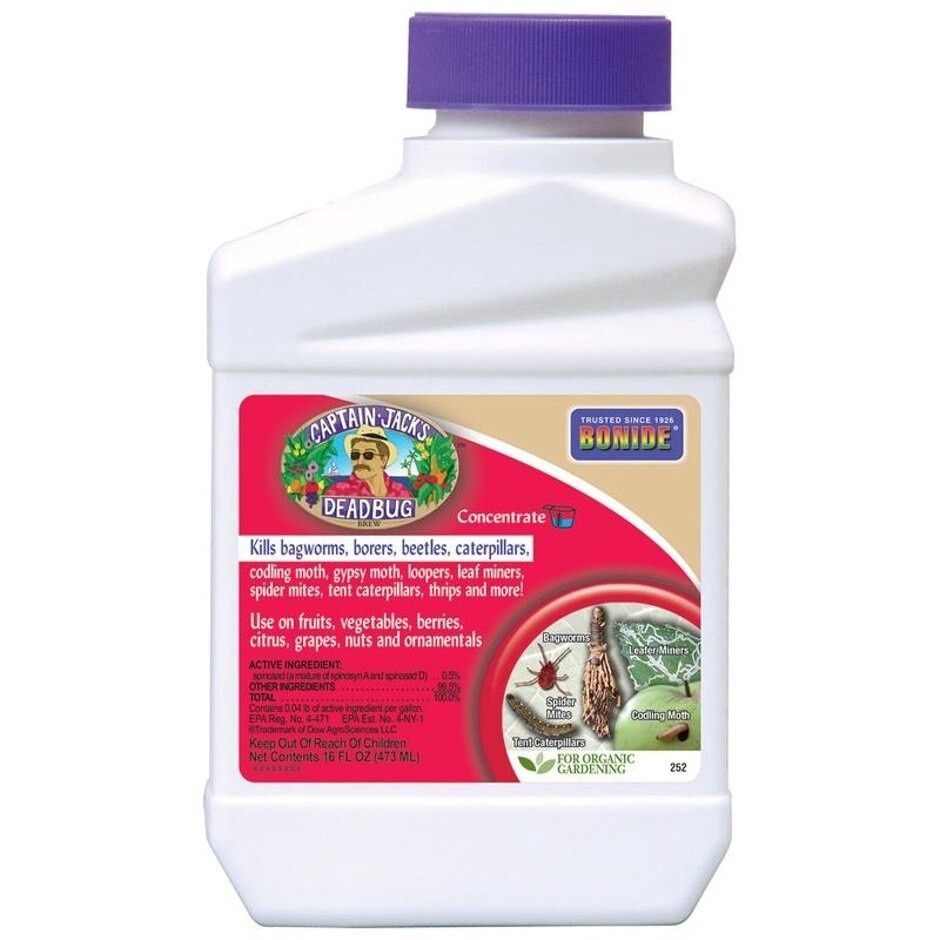 CAPTAIN JACK&#39;S DEADBUG BREW CONCENTRATE, Size: 16-oz