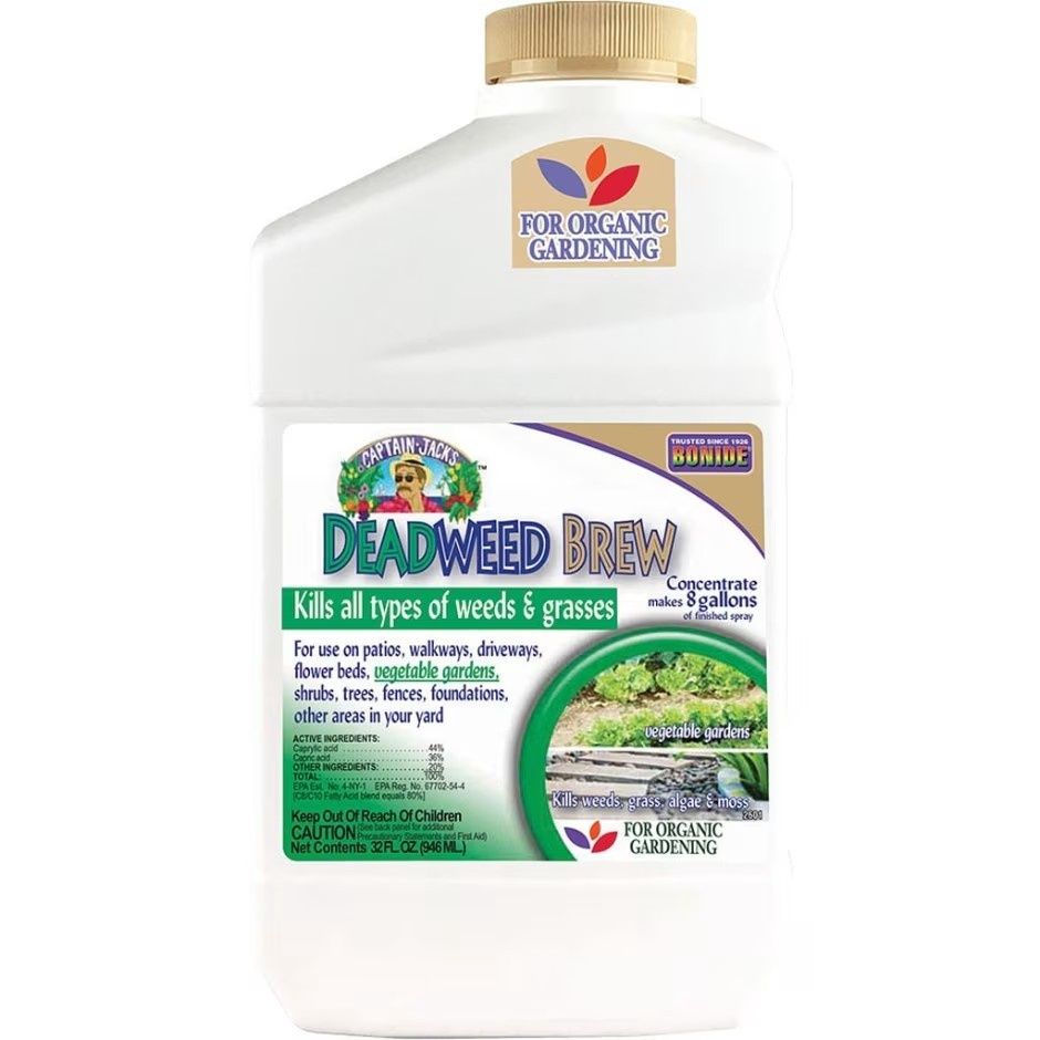 CAPTAIN JACK&#39;S DEADWEED BREW CONCENTRATE