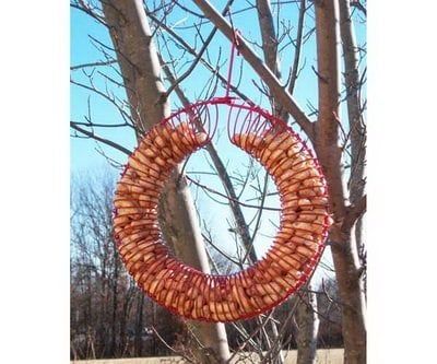 Songbird Essentials Bird Feeder Squirrel Feeder Whole Peanuts Wreath Red
