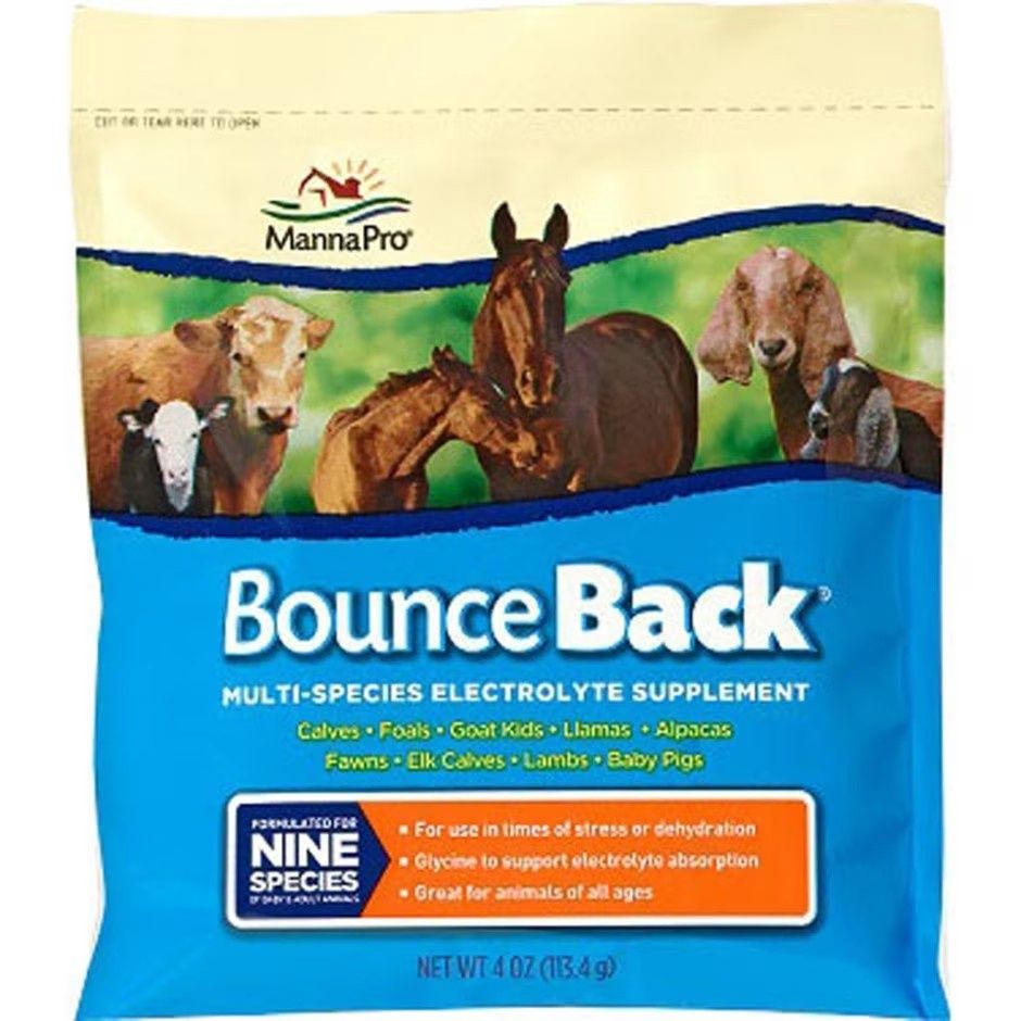 BOUNCE BACK MULTI-SPECIES ELECTROLYTE SUPPLEMENT, Size: 4 oz