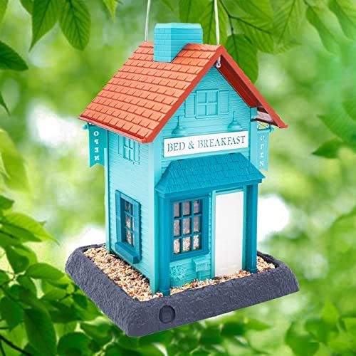 North States Village Collection Bed &amp; Breakfast Birdfeeder: Easy Fill and Clean. Hanging or Pole Mount. Made in USA. 6.5 Pound Seed Capacity (10.25&quot; X