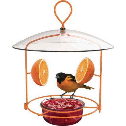 Nature S Way NWOFM1 Wire Oriole Feeder
