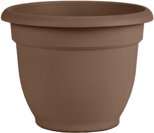 Bloem 8-in Ariana Self Watering Plastic Planter - Chocolate Brown