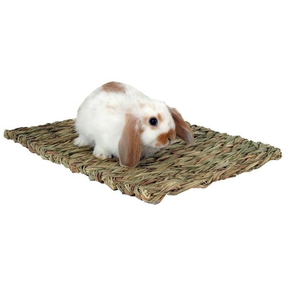MARSHALL WOVEN GRASS MAT, Size: 13.5 x 10.5 in