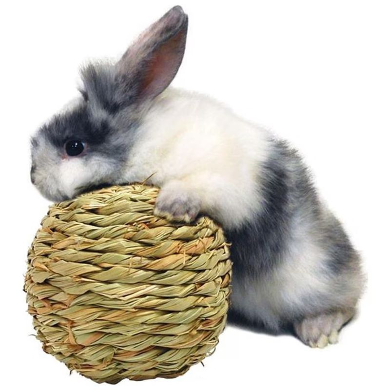 PETER&#39;S GRASS WOVEN PLAY BALL