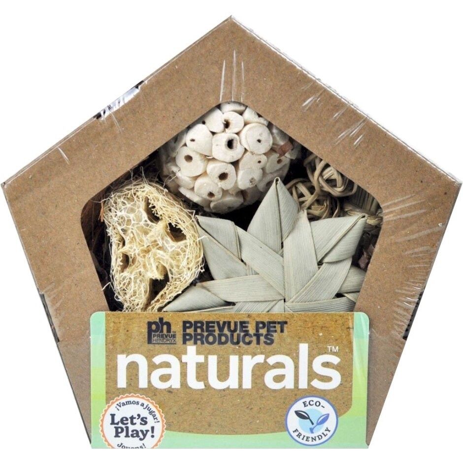Prevue Pet Naturals Pentagon Forage &#39;n Play Box