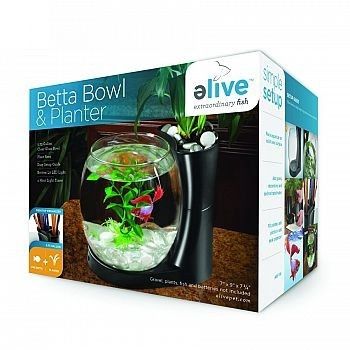 BETTA BOWL &amp; PLANTER 0.75 GAL.