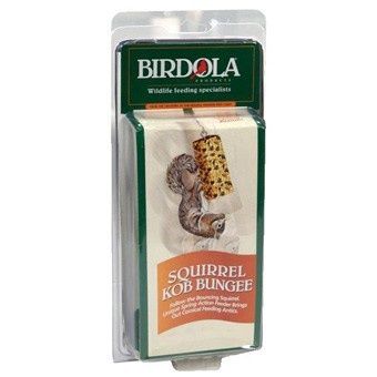 Bird old Squirrel Kob Bungee