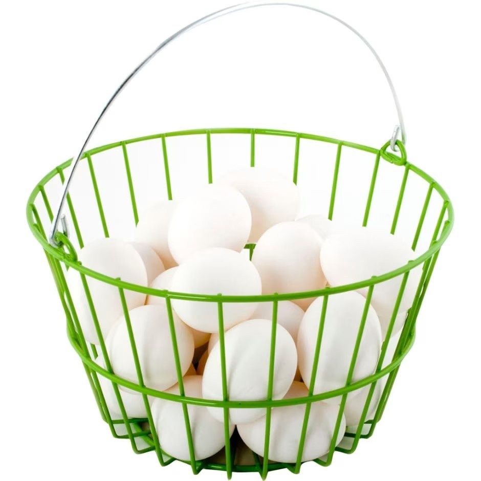 COATED WIRE EGG BASKET