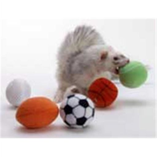 Marshall Pet Products SMR00289 Sport Balls