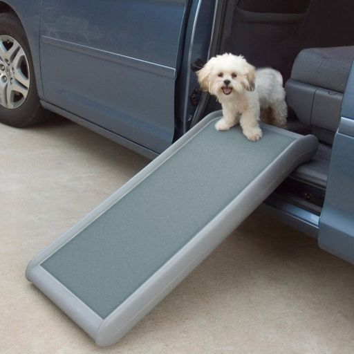 PetSafe Half Ramp II for Dogs  Lightweight with High-Traction Walking Surface