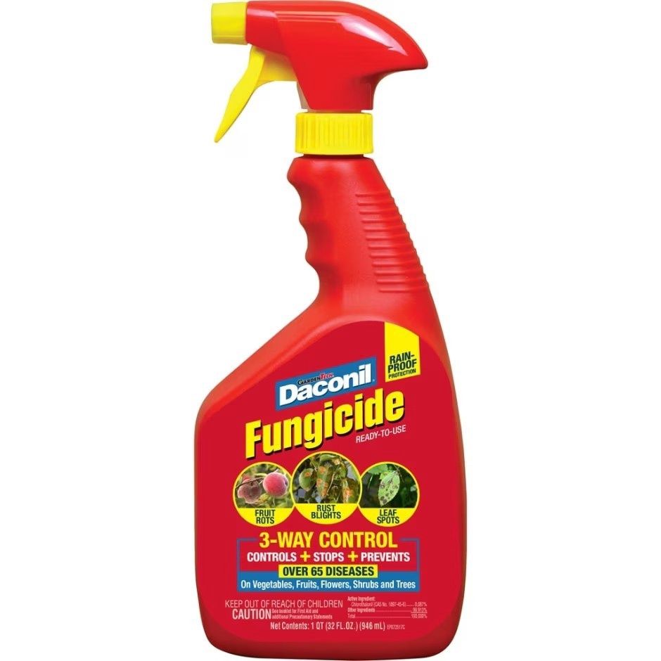 DACONIL FUNGICIDE, Size: 32oz Ready To Use Spray