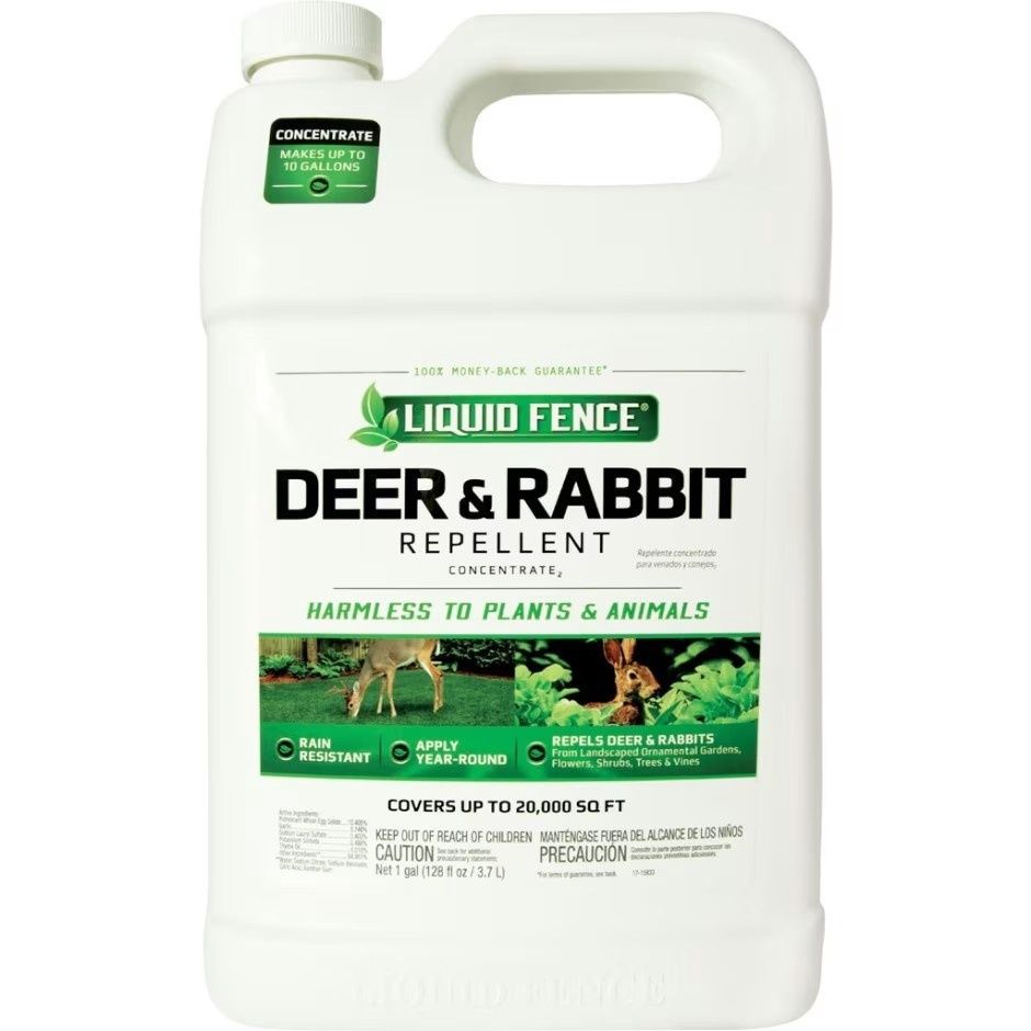 LIQUID FENCE DEER &amp; RABBIT REPELLENT CONCENTRATE, Size: 1 Gal