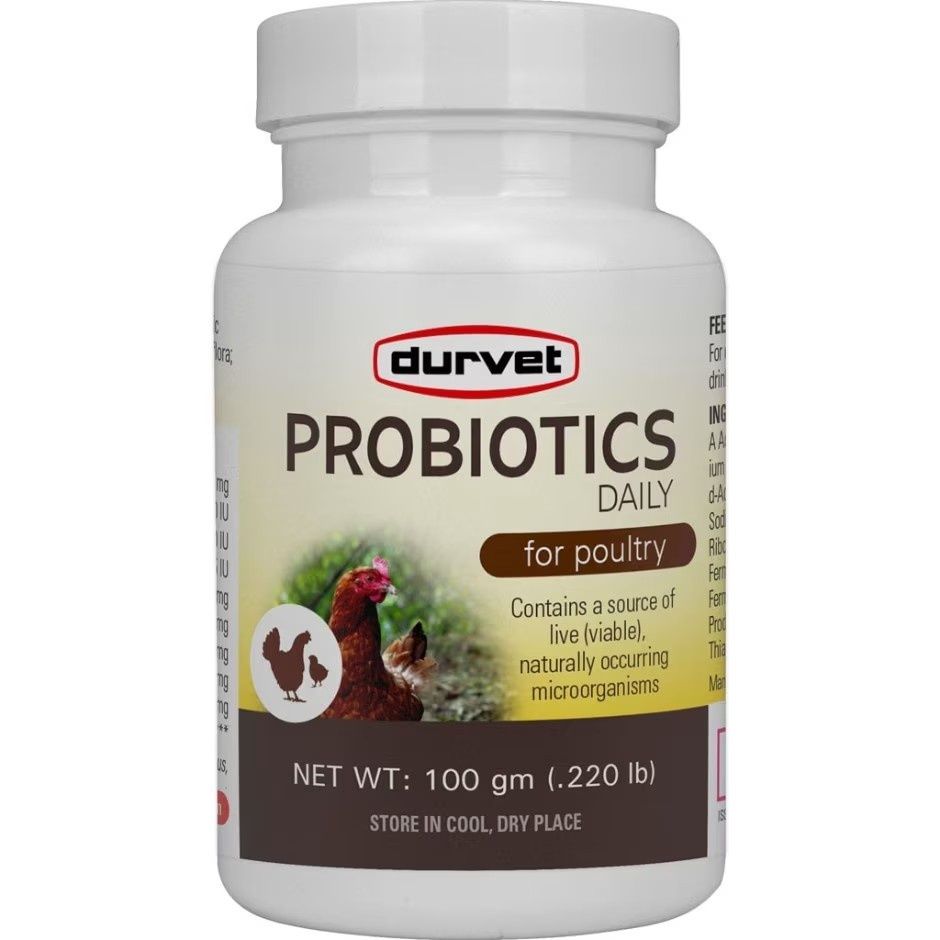 DURVET PROBIOTICS DAILY POULTRY SUPPLEMENT, Size: 100 gm