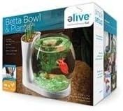 ELIVE BETTA BOWL &amp; PLANTER