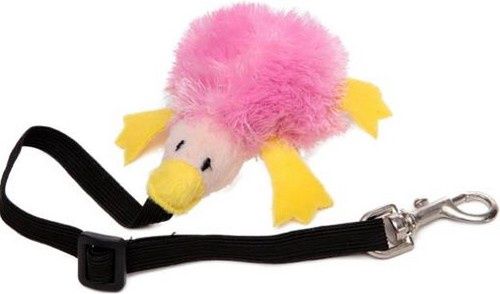 Ferret Toys