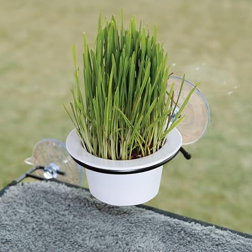 K&amp;H Pet Products EZ Mount Cat Grass Grow Station for Window - Healthy Home Grown Grass Cat Toys for Bored Indoor Adult Cats, Pairs Purr-fectly with Ca