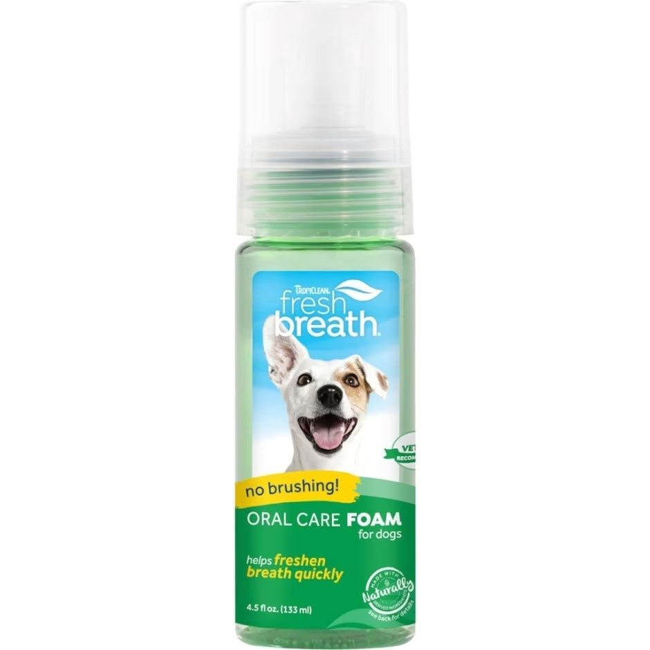 FRESH BREATH ORAL CARE FOAM