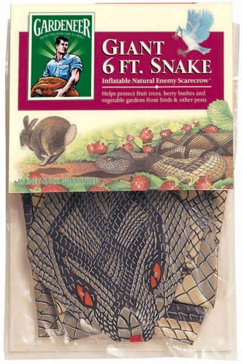 Giant 6 Ft. Snake