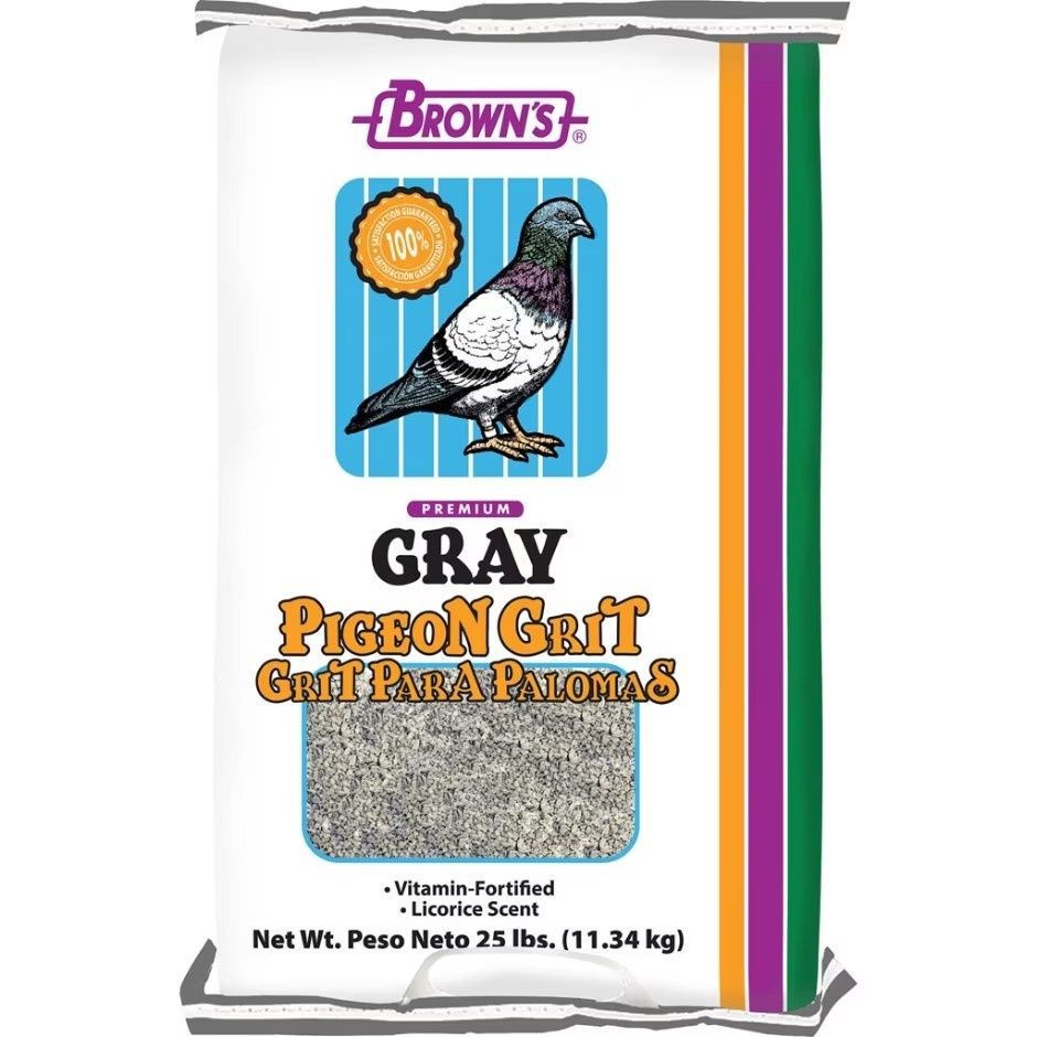 Grit National Pigeon Gray