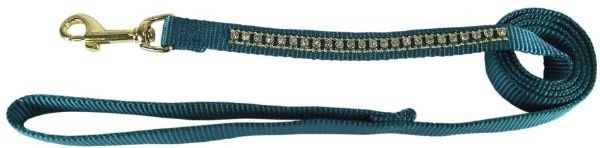 Hamilton 3/8” Gold Rhinestone Dog Lead