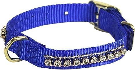 Hamilton 5/8” Gold Rhnstone Dog Collar, Color: Blue, Size: 14