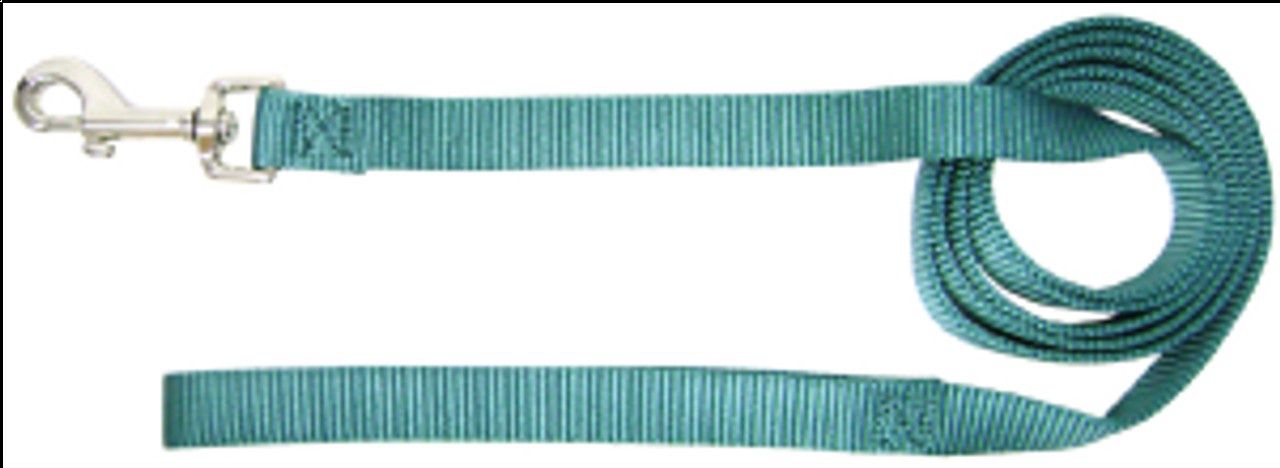 Hamilton 6&#39; Leash Teal
