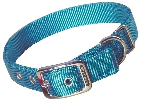 HAMILTON BUCKLE DOG COLLAR 1&quot;X24&quot; TEAL