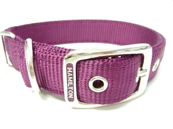 HAMILTON BUCKLE DOG COLLAR 1&quot;X20&quot; WINE