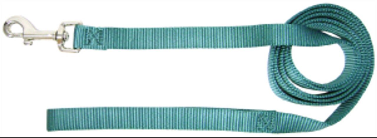 HAMILTON DOG LEASE 5/8 X 4FT TEAL