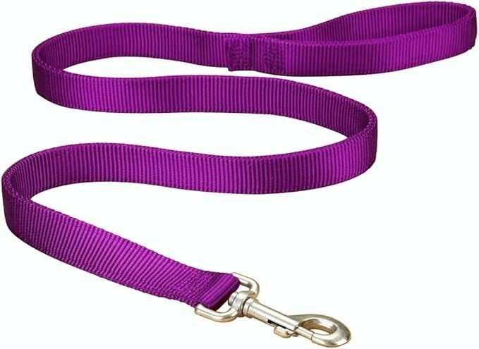 HAMILTON DOG LEASH 1”X 4’, Color: PURPLE