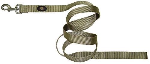 HAMILTON DOG LEASH 1”X 6’, Color: GOLD