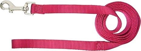 HAMILTON DOG LEASH 5/8 X 4FT RASPBERRY