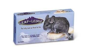Leap n Ledge
