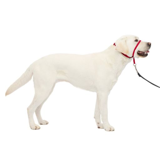 PetSafe Gentle Leader Headcollar Adjustable Dog Harness - L - Red