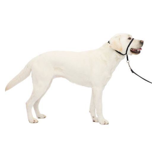 PetSafe Gentle Leader Headcollar Adjustable Dog Harness - L - Black