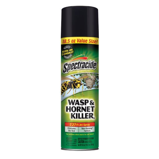 Spectracide Wasp &amp; Hornet Killer  Eliminates the Nest  Non-Staining Formula  18.5oz